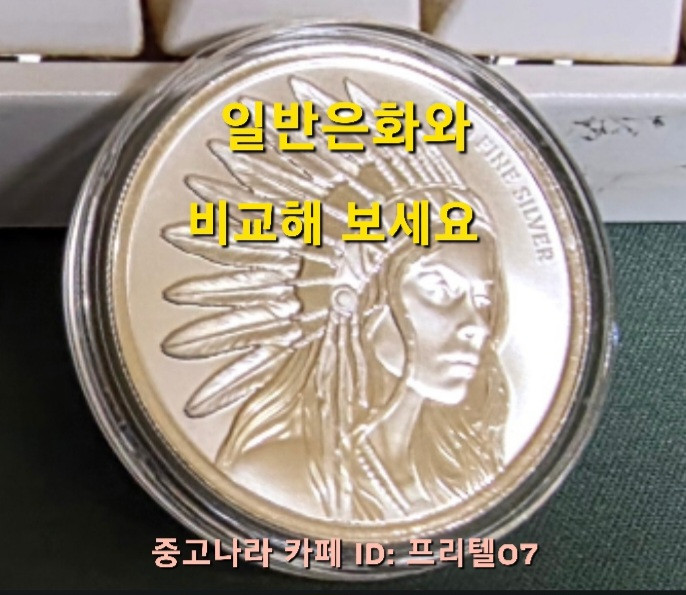 [토닝한 은화 ] 수집 가치가 충분한 토닝된 스캇데일 버팔로 걸 은화 작품 팔아요! 이미지