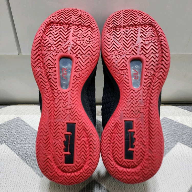 나이키 르브론 위트니스3 브레드 285mm 이미지