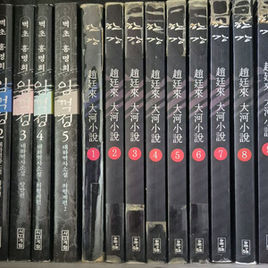 조정래 한강 /상도 /임꺽정 /바람의딸 걸어서 지구한바퀴 이미지