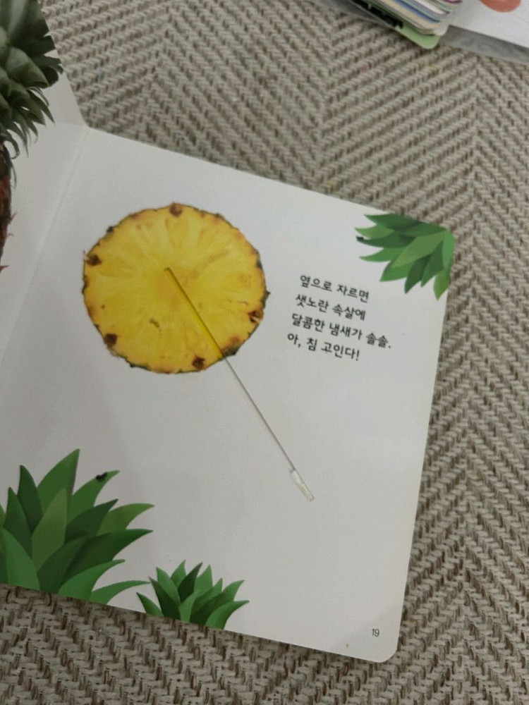 놀라운자연 개정판 세이펜버전 이미지