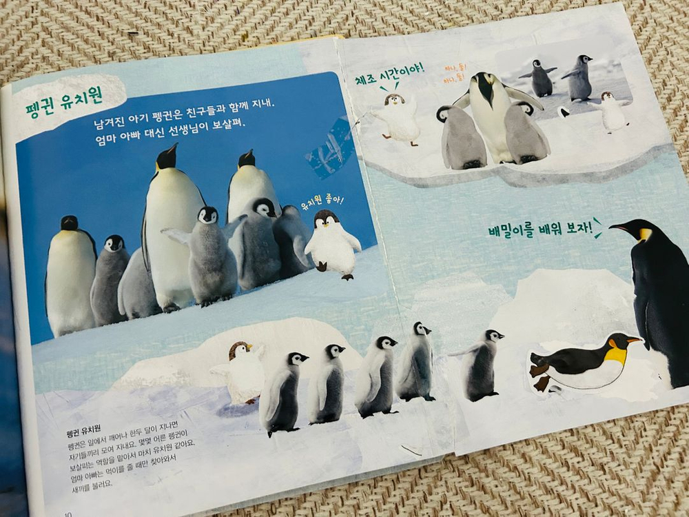 놀라운자연 개정판 세이펜버전 이미지