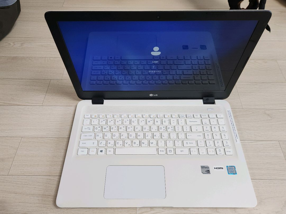 LG 울트라 노트북 i7 8GB RAM 256GB SSD 이미지