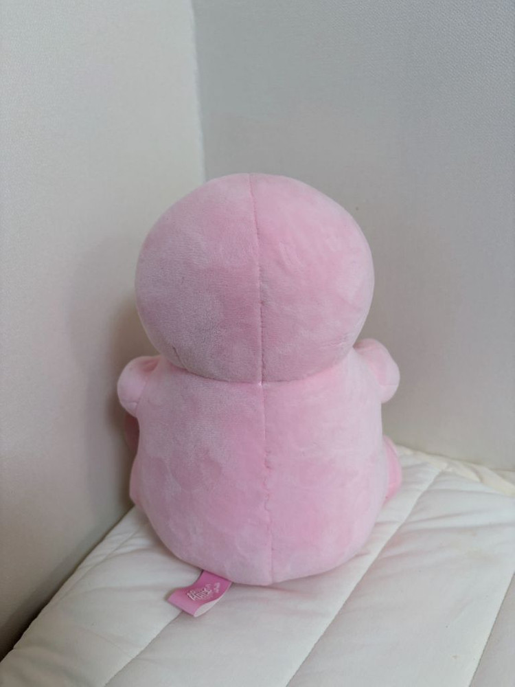 핫도그를 안고 있는 핑크 지방이 인형 이미지