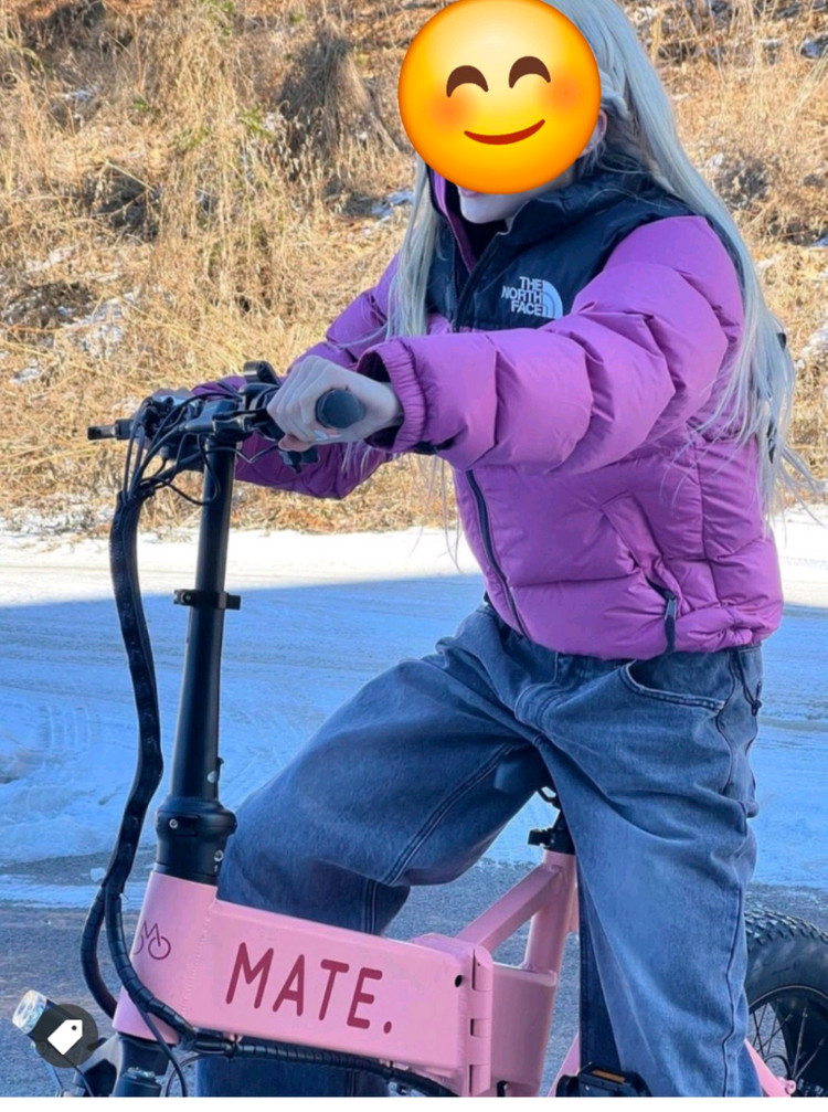노스페이스 눕시 패딩 크롭푸시아핑크명품조끼가니하프롱패딩명품구찌루이비통디올셀린느샤넬에르메스로로피아나 이미지