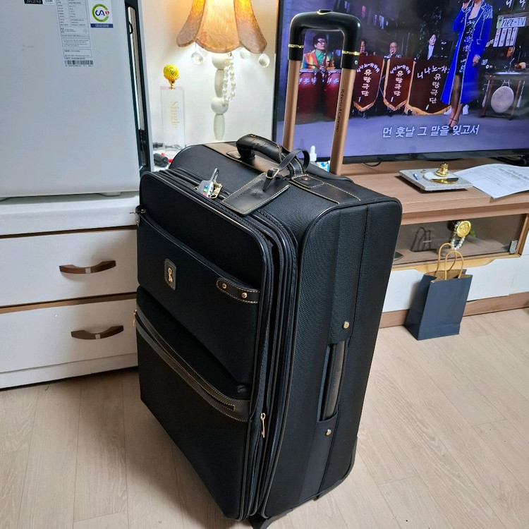 캐리어 로베르타 까메리노24인치 이미지