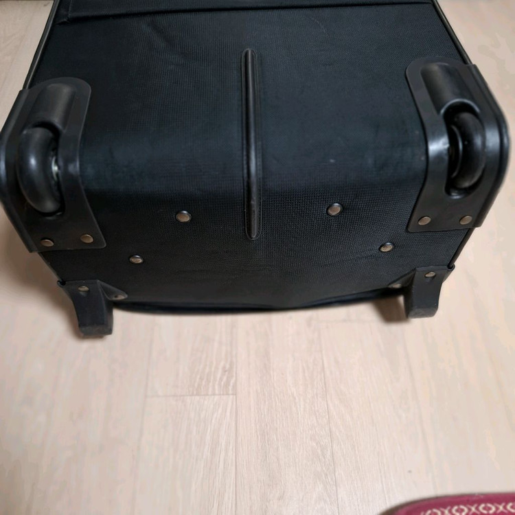 캐리어 로베르타 까메리노24인치 이미지