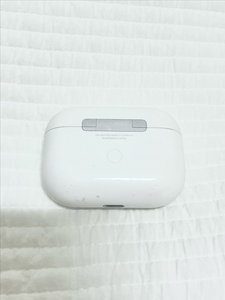 [개급처] 에어팟 프로 1세대 이미지