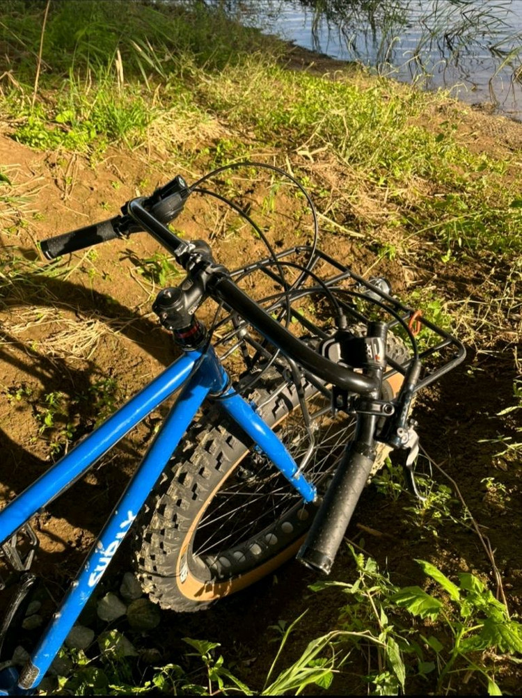 Surly 팻바이크 자전거 이미지