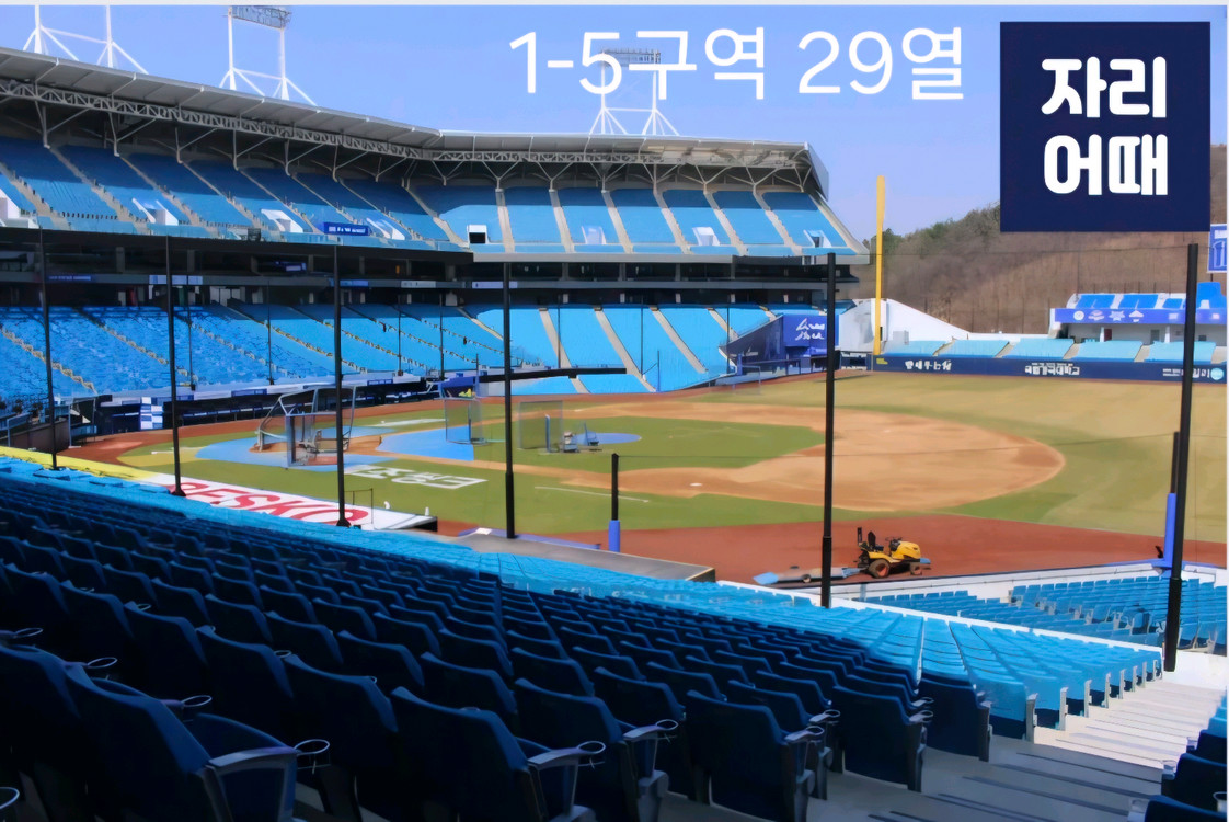 6월 3일(수) NC vs 삼성 원정응원석 이미지