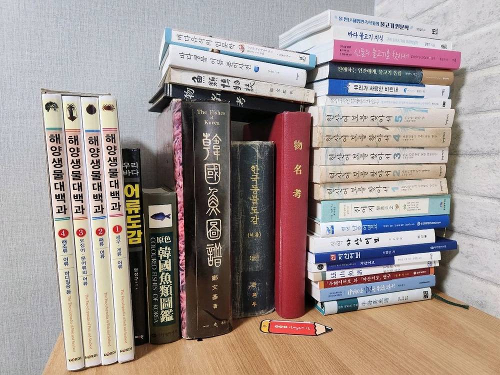 1961년 한국동물도감 (어류), 1974년 어류박물지 등 해양어류 희귀도서 35권 이미지