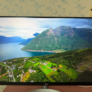 LG 32인치 UHD 4K 모니터 32UP830K 팜니다 이미지
