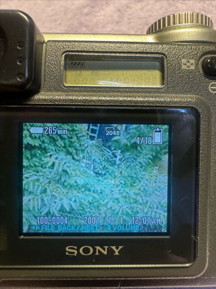 소니 사이버샷 DSC S75 Y2K 빈티지 디카 팝니다 상품 정보• 브랜드/모델명: SONY Cyber-shot 이미지