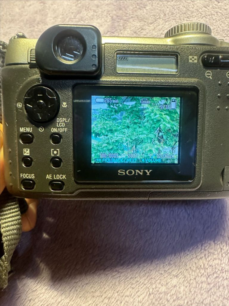 소니 사이버샷 DSC S75 Y2K 빈티지 디카 팝니다 상품 정보• 브랜드/모델명: SONY Cyber-shot 이미지