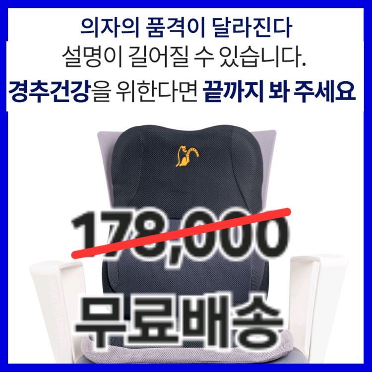 할인가능O무료배송 젠틀리머 척추교정 쿠션+방석카시트 자동차용품 공부의자 이미지
