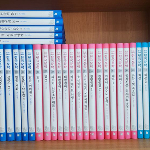 한국헤르만헤세-명문대에들어갈수있는 논술대비 한국문학(특AA급-진열수준) 이미지