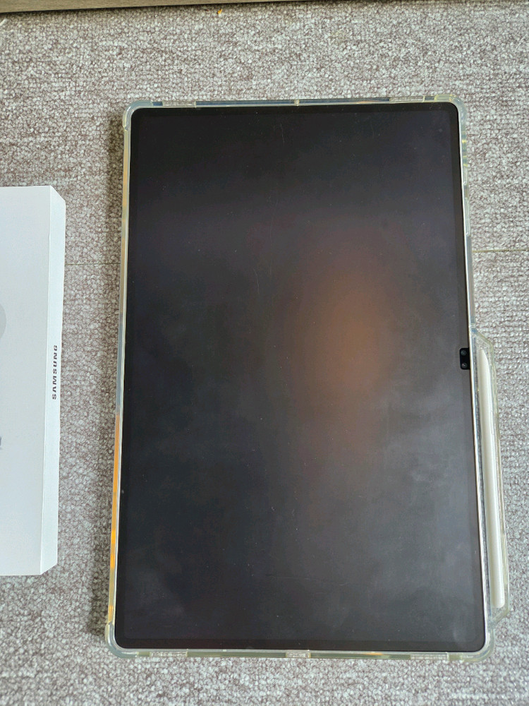 갤럭시 탭 S10 울트라 5G 256GB 이미지