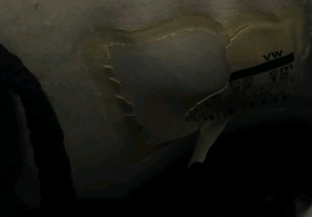 나이키 에어조던 울프그레이 12cm 이미지
