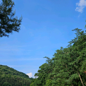 파라다이스 도고 로우시즌 주말권(6/25)까지 이미지