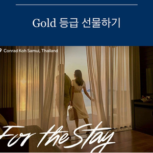 힐튼 골드 티어판매 이미지