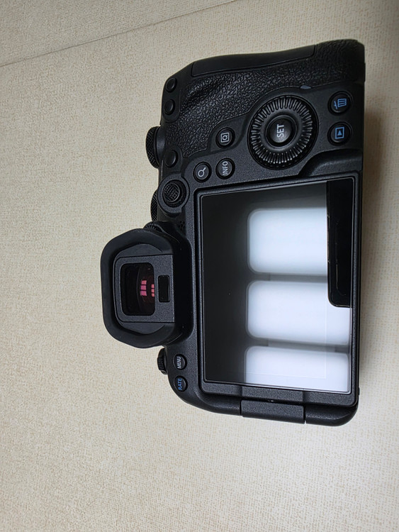 캐논 EOS R6 Mark II (r6m2) 이미지