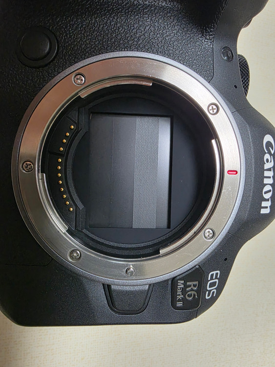캐논 EOS R6 Mark II (r6m2) 이미지