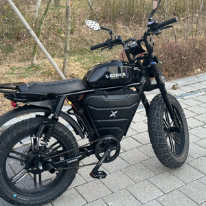 엑스라이더 X200 프로 48v 판매합니다 이미지
