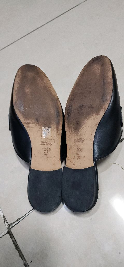 코치 블로퍼 뮬 샌들 245 이미지