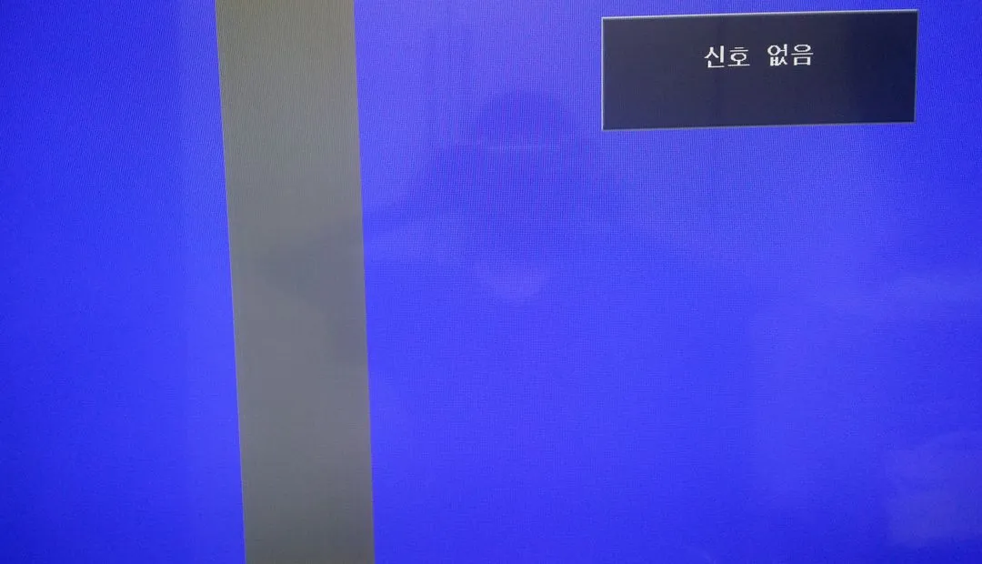 캠코더 ﻿히타치 HITACHI VM-E645LA﻿, 빔 프로젝트 NEC NP60, RD-805, TV 부품용 이미지