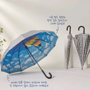 파스쿠찌 장우산 이미지