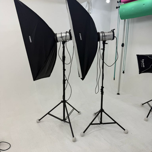 포멕스 Fomex E600 조명세트 2개일괄 이미지