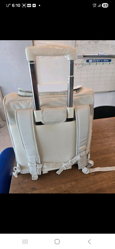 강아지가방,고양이가방,반려가방,케리어,캐리어 이미지
