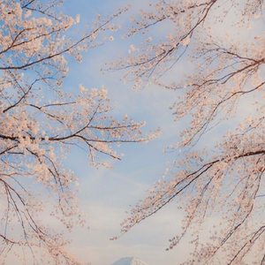 남자 팬티 속옷 사요~ 오지범 로카 로카프 작스트랩 등든 이미지