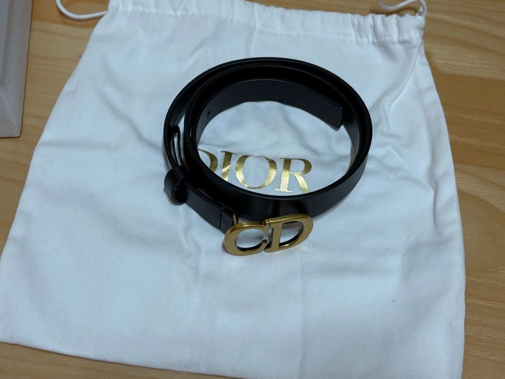 디올 새들 벨트 이미지