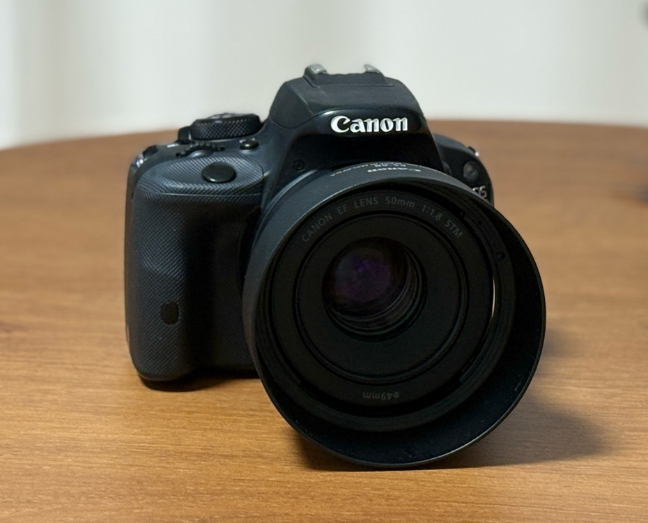 캐논 eos 100D + 50mm 1.8 (신쩜팔) 이미지
