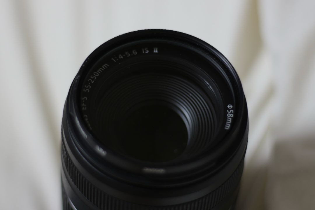캐논 EF-S 55-250mm IS II (헝그리 망원) 렌즈 이미지