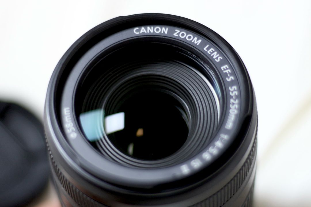 캐논 EF-S 55-250mm IS II (헝그리 망원) 렌즈 이미지