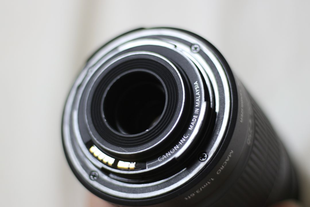 캐논 EF-S 55-250mm IS II (헝그리 망원) 렌즈 이미지