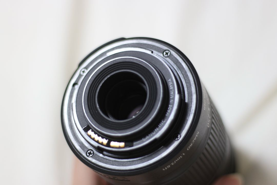 캐논 EF-S 55-250mm IS II (헝그리 망원) 렌즈 이미지