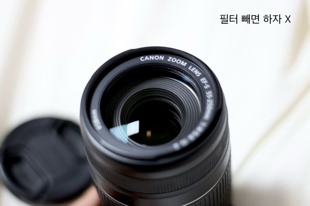 캐논 EF-S 55-250mm IS II (헝그리 망원) 렌즈 이미지