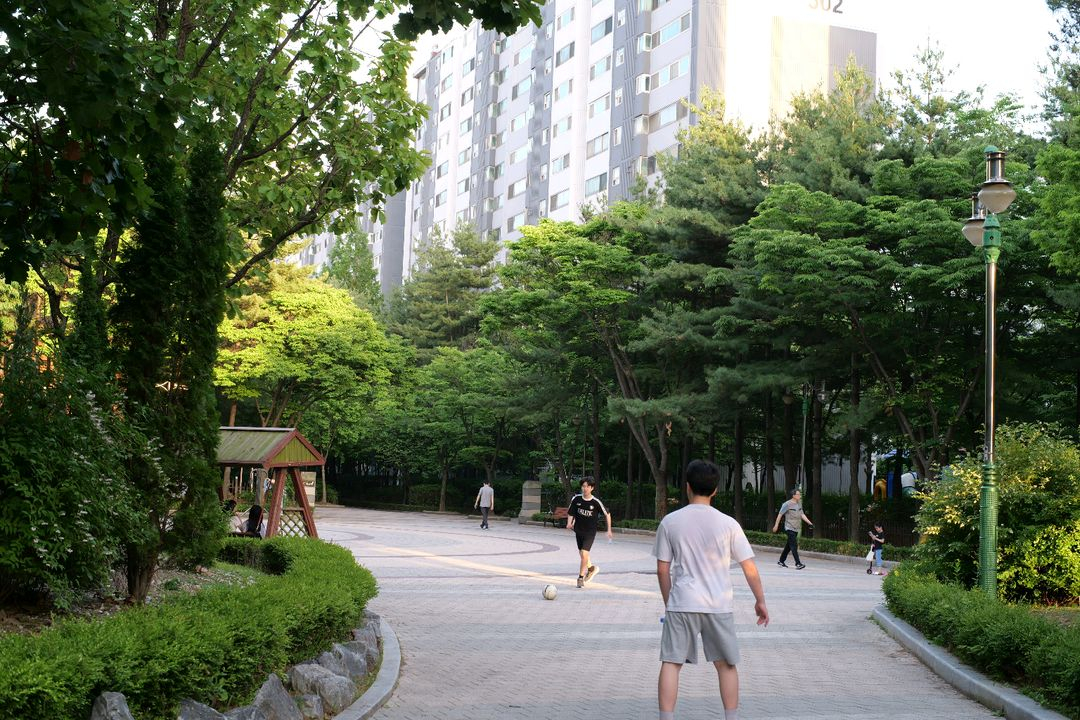 슈퍼타쿠마 SMC 50mm f1.4 M42마운트 올드수동렌즈 이미지
