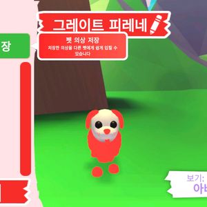 입양하세요 펫 메가네온 그레이트 피레네 판매합니다 이미지