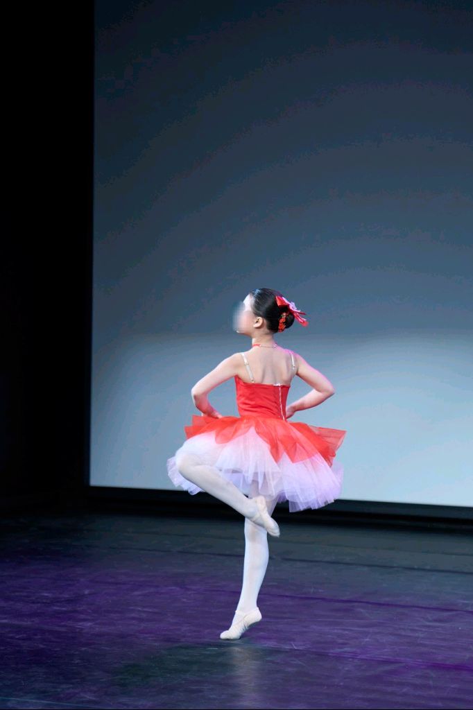 발레 튜튜 의상 세트 이미지