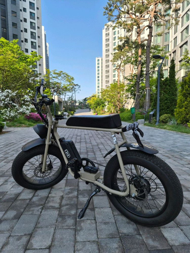 모페즈바이크 OG 750W 이미지