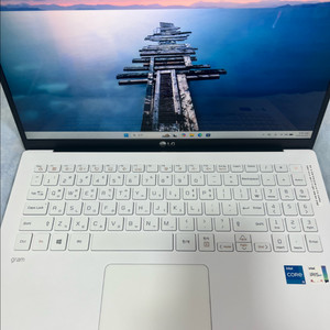 lg 그램 노트북 11세대 판매 (액정 이상) 이미지