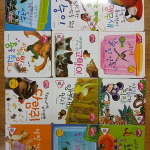 꼬작수 12권 + 생활습관그림책 등 유아책 29권 이미지
