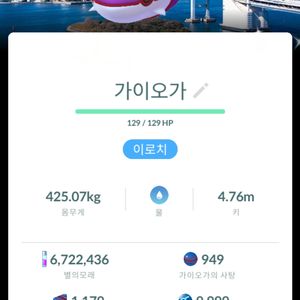 포켓몬고 2026 도쿄 고페스트 배경 이로치 가이오가 팝니다. 이미지