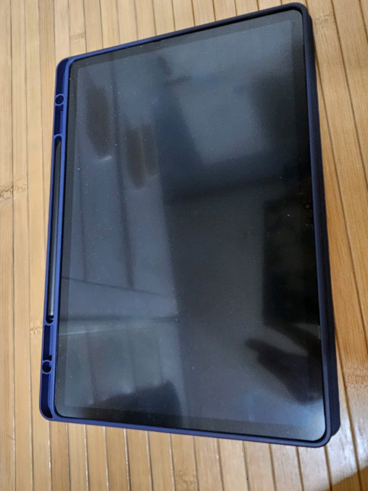갤럭시탭S9 플러스 256GB 이미지