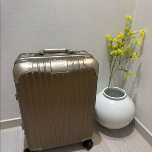리모와 오리지널 캐빈s 티타늄골드 색상 이미지