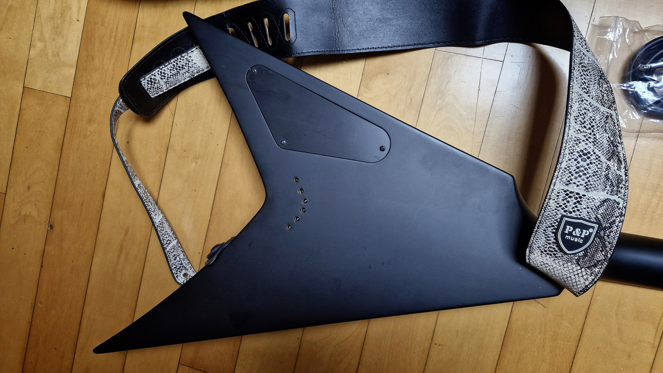 [상태최상] 워시번 파라렉스 V26 (Washburn Parallaxe V26) 플라잉브이 일렉기타 팝니다. 이미지
