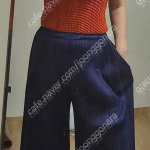 정품 이세이미야케 플리츠플리즈 ISSEYMIYAKE 와이드팬츠 이미지